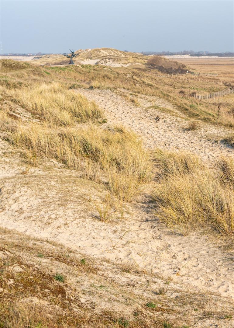 Door het zand wandelen