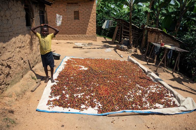 Dorpje Kilembe, aan de voet van het Rwenzorigebergte