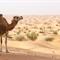 Douz Tunesië Sahara woestijn