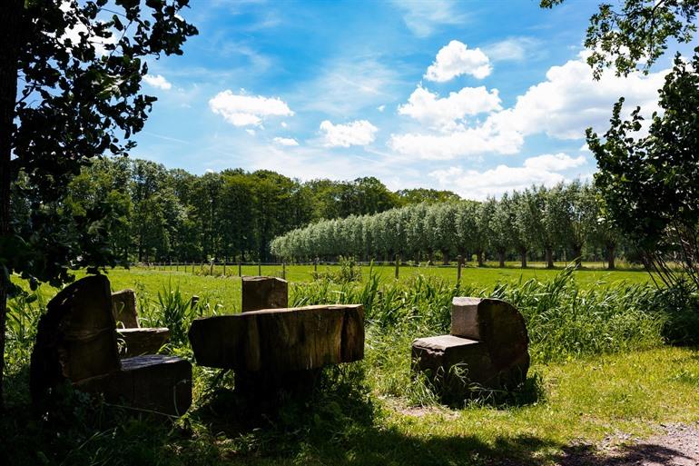 Drongengoed in Knesselare, Meetjesland