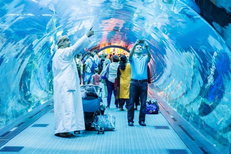 Dubai Aquarium and Underwater Zoo in Dubai, VAE