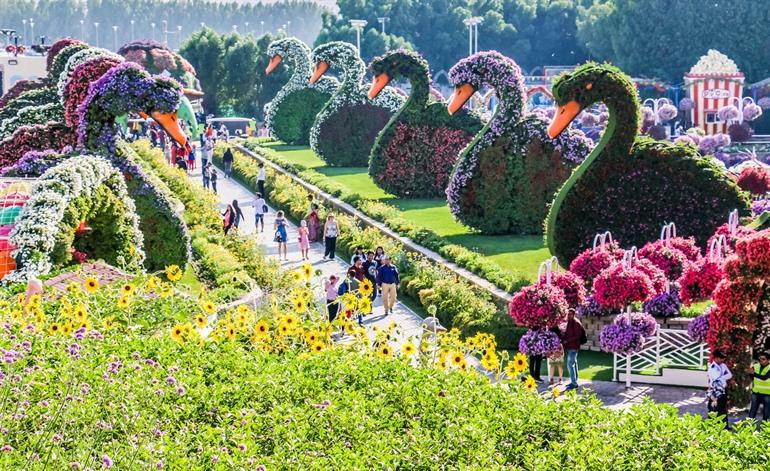 Dubai Miracle Garden, VAE