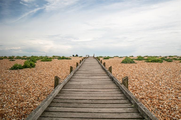 Dungeness National Nature Reserve