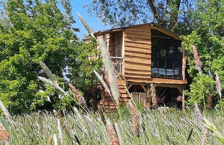 Ecologische boomhut met hot tub in Asse boeken