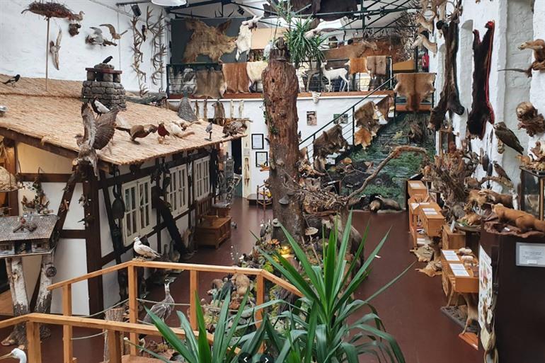 Erlebnismuseum Lernort Natur