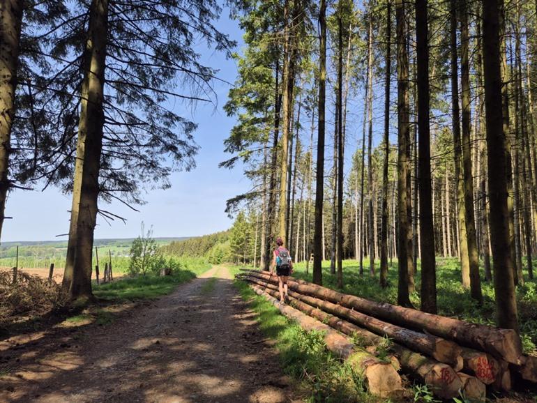 Etappe 2 - Transardennaise: Sainte-Ode naar Saint-Hubert