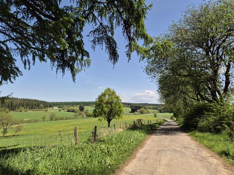 Etappe 2 - Transardennaise: Sainte-Ode naar Saint-Hubert