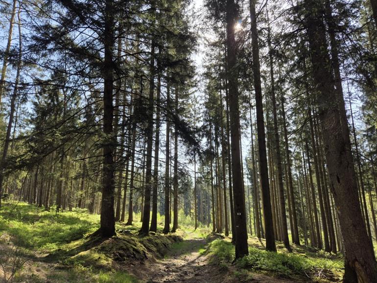 Etappe 2 - Transardennaise: Sainte-Ode naar Saint-Hubert
