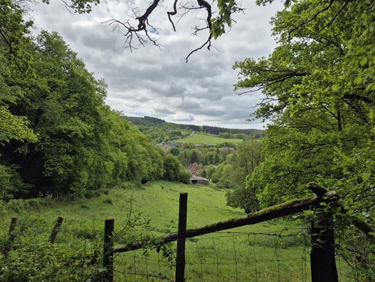 Etappe 4 - Transardennaise: Nassogne - Mirwart