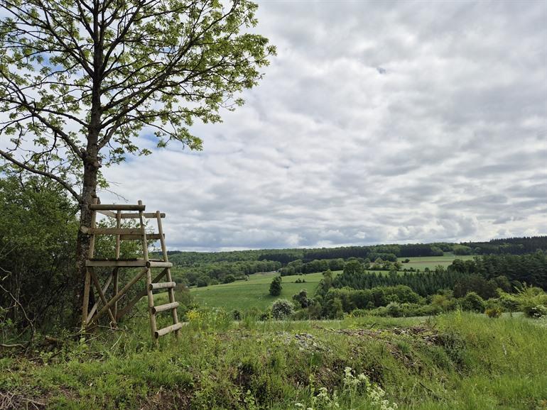 Etappe 4 - Transardennaise: Nassogne - Mirwart