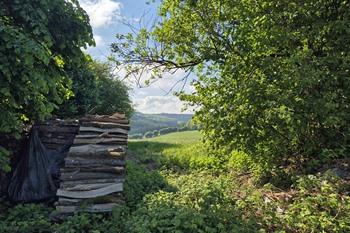 Etappe 6 - Transardennaise: Daverdisse - Paliseul