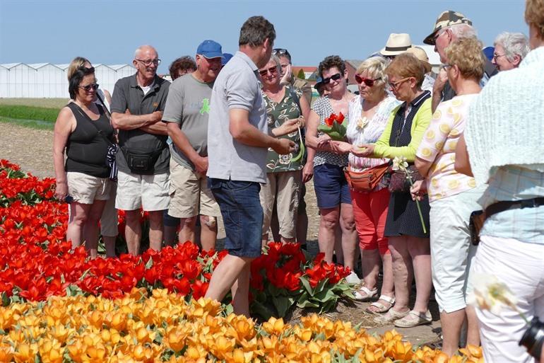 Excursie met groep bij De Tulperij in Voorhout