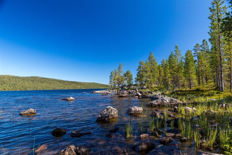 Femundsmarka nationaal park