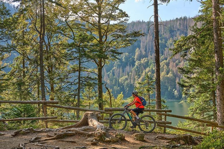Fietsen aan de Titisee