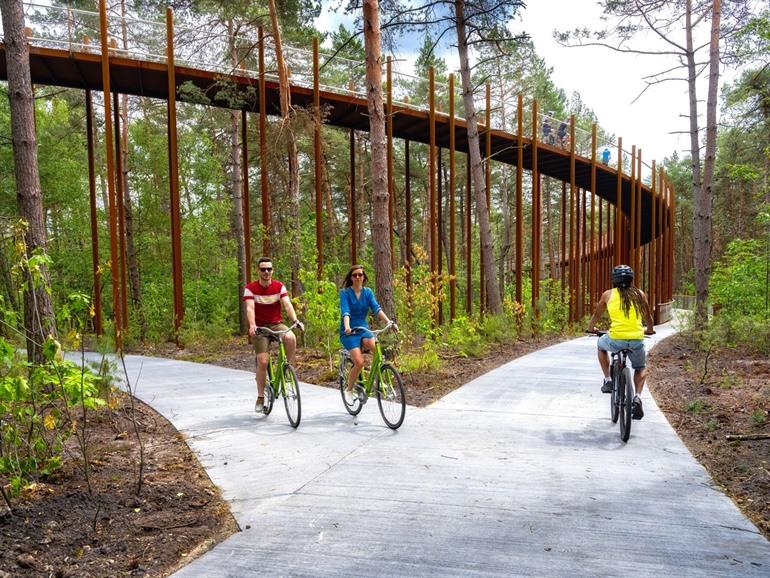 Fietsen door de Bomen Hechtel-Eksel