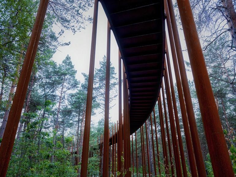 Fietsen door de Bomen Hechtel-Eksel
