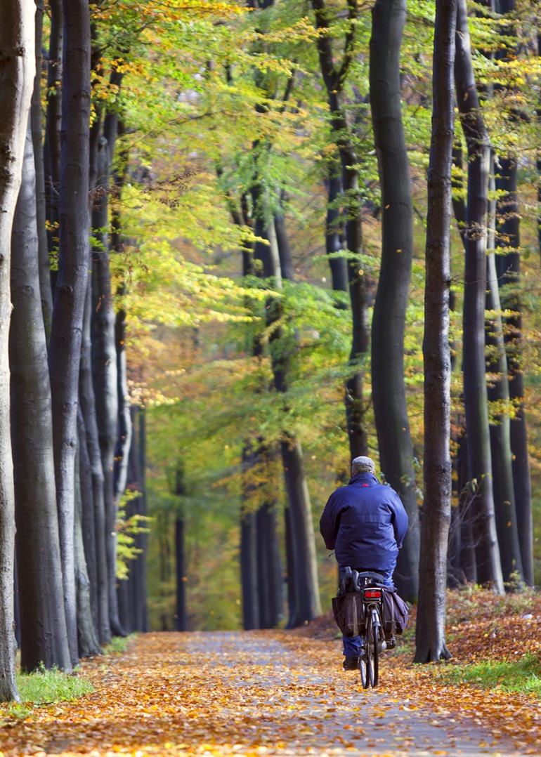 Fietsen door de Utrechtse Heuvelrug