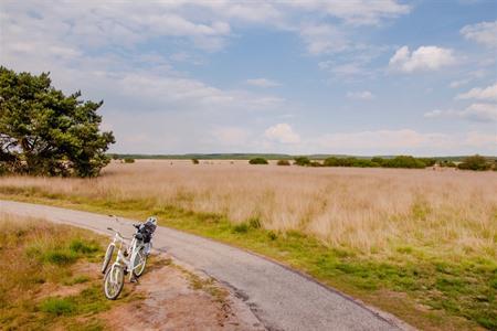  Fietsarrangementen in Nederland met lekker eten