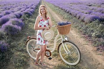 Fietsen in de lavendelvelden, Provence