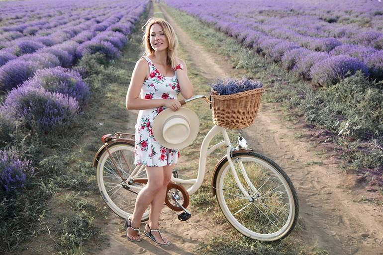 Fietsen in de lavendelvelden, Provence