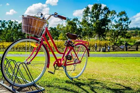 Fietsen is gezond