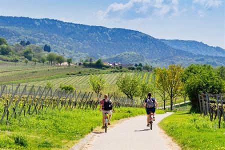 Fietsen langs de Duitse Wijnroute