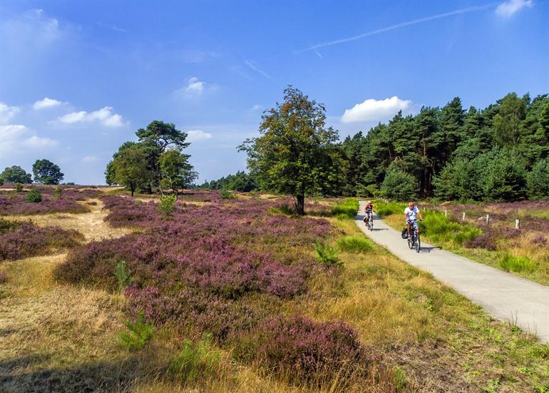 Fietsen op de Veluwe 