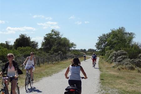 Fietsnetwerk Belgische kust