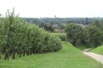 Fietsroute Alden Biesen - Tongeren