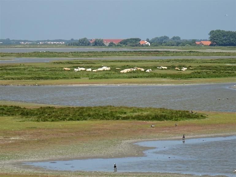 Fietsroute vanuit Zierikzee tot Renesse
