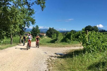 Fietstocht en wijnproeverij rondom Lazise boeken