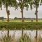 Fietstocht in de Leiestreek