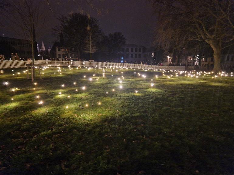 Firefly Field - Lichtfestival Gent 2024