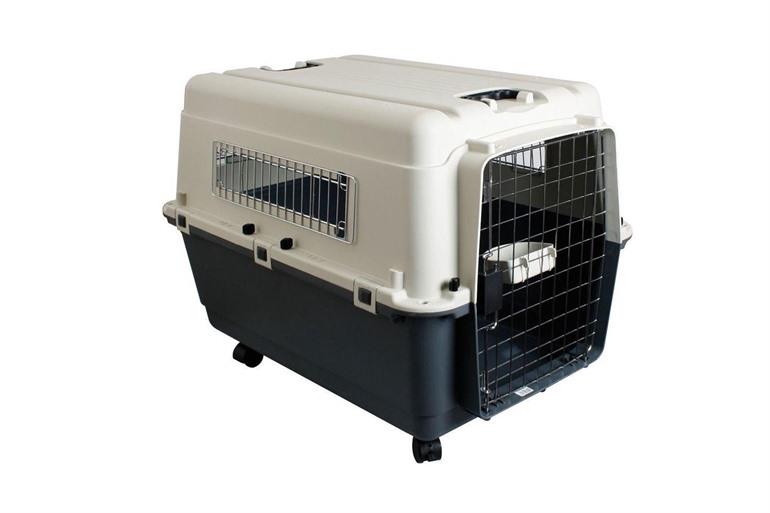Lovpet Hundetransportbox Lovpet® Transportbox Hund Katze
