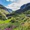 Flamsbana treinrit en Kjosfossen-waterval