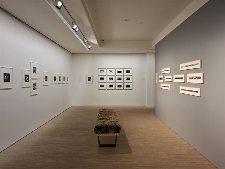 Fondation A/A Stichting, Vorst