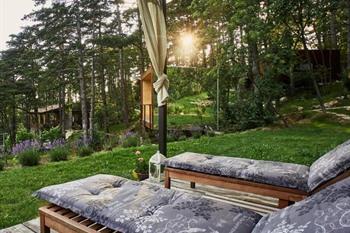 Forest Village Theodosius boeken