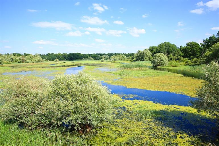 Forêt d’Orient in de Champagnestreek