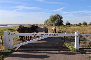 Fort Pannerden