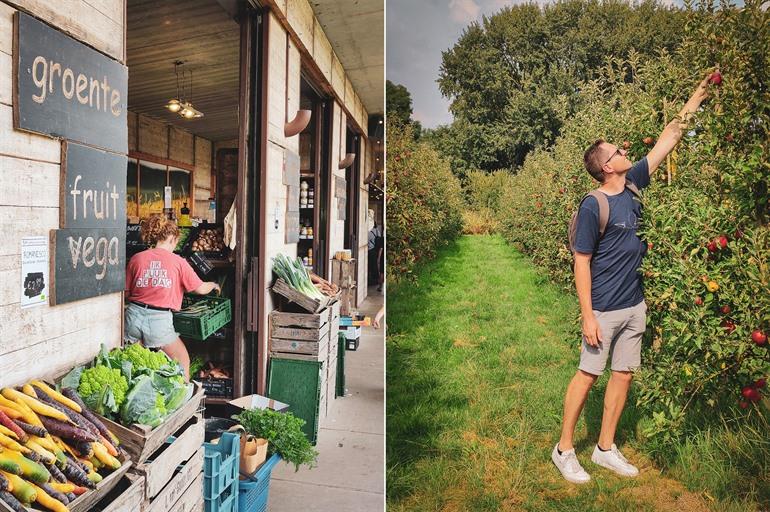 Fruittuin van West in Amsterdam