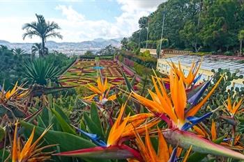 Funchal, Jardim botanico