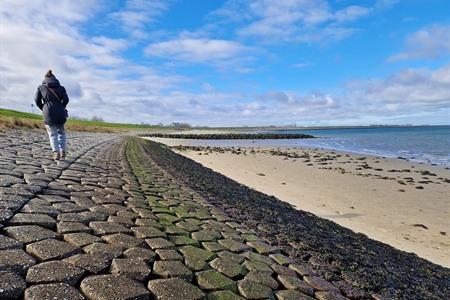 Ga zelf oesters plukken in Nederland