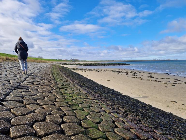 Ga zelf oesters plukken in Nederland