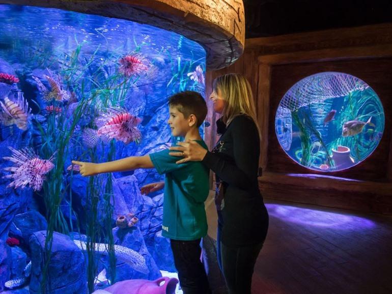 Gardaland SEA LIFE Aquarium bezoeken aan het Gardameer