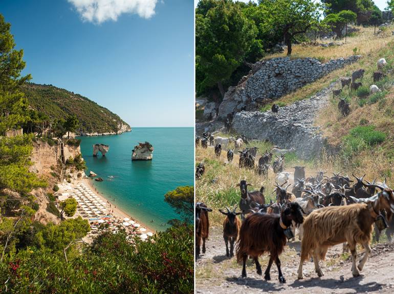 Gargano Nationaal Park