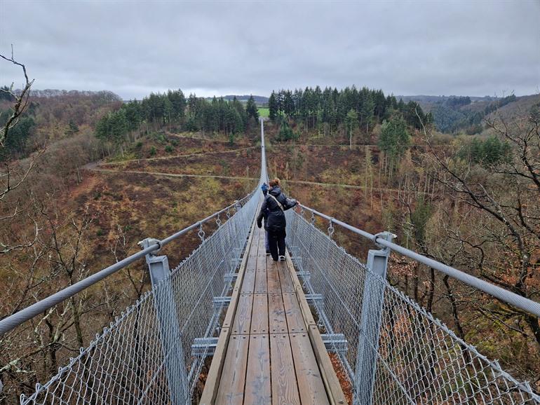 Geierlay hangbrug, Duitsland