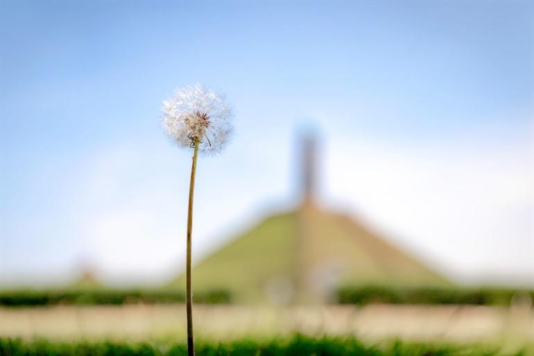 Geschiedenis van Austerlitz