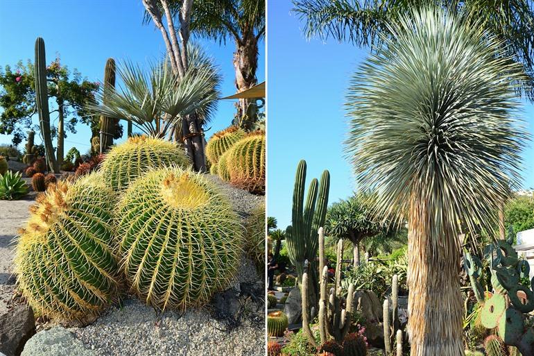 Giardini Ravino op Ischia