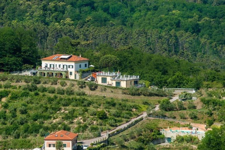 Gli Ulivi Di Montalbano boeken