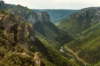 Gorges du Tarn, Cevennen